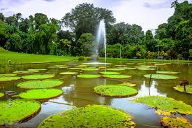 5 Tempat Wisata Dekat Stasiun Bogor untuk Liburan Akhir Tahun